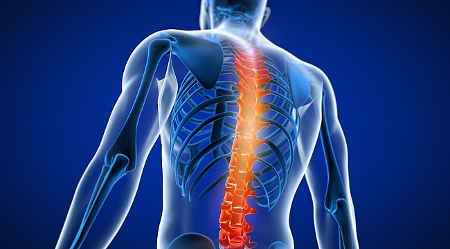 Omurga Hastalıklarında Erken Teşhis Önem Taşıyor