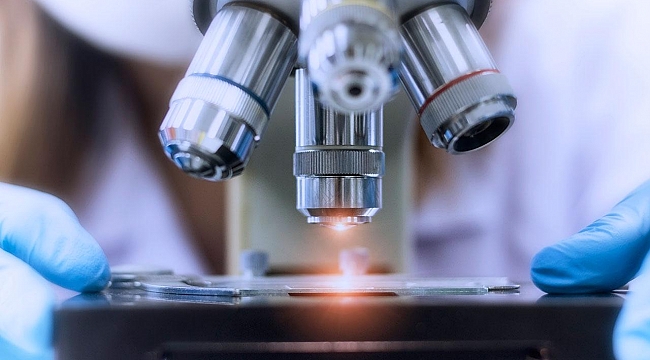 Yeni &quot;Yatırım Teşvik Sistemi&quot;nin detayları belli oldu