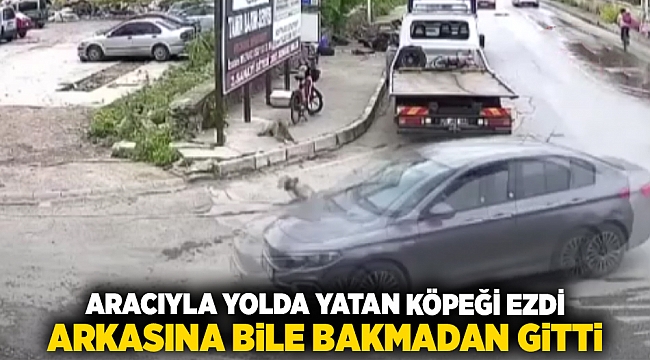 Aracıyla yolda yatan köpeği ezdi, arkasına bile bakmadan gitti