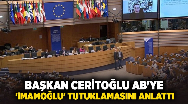 Başkan Ceritoğlu AB&#039;ye &#039;İmamoğlu&#039; tutuklamasını anlattı