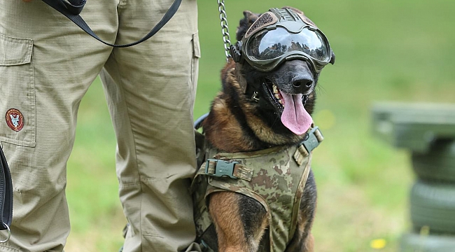 Terör ve uyuşturucuyla mücadelenin "keskin burunları"