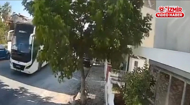 Yatan köpeği ezip yola devam ettiler