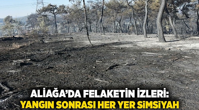 Aliağa’da Felaketin İzleri: Yangın Sonrası Her Yer Simsiyah