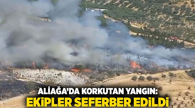 Aliağa’da Korkutan Yangın: Ekipler Seferber Edildi