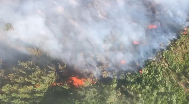 Bakan Yumaklı: İki günde 113 büyük ölçekli orman yangını meydana geldi