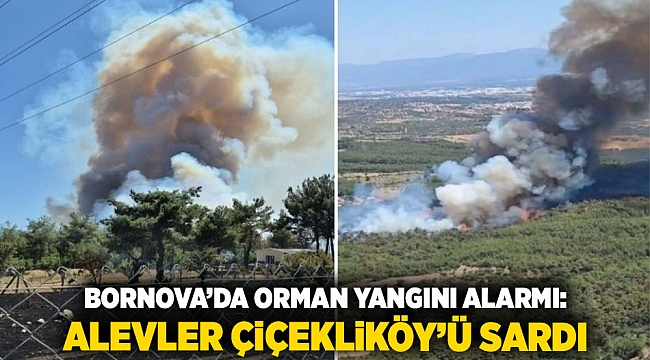 Bornova’da Orman Yangını Alarmı: Alevler Çiçekliköy’ü Sardı