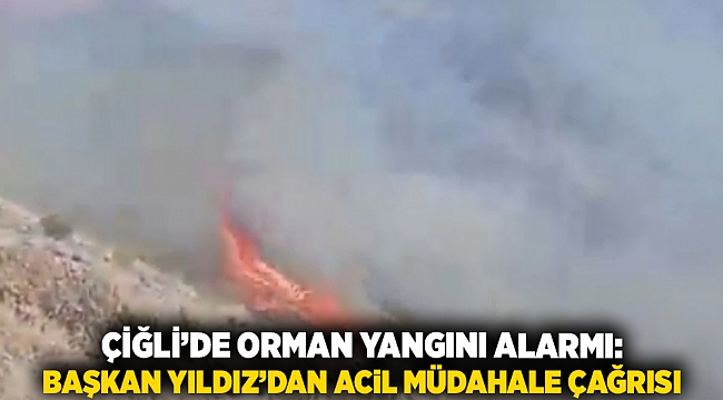 Çiğli’de Orman Yangını Alarmı: Başkan Yıldız’dan Acil Müdahale Çağrısı