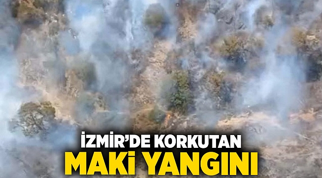 İzmir’de korkutan maki yangını