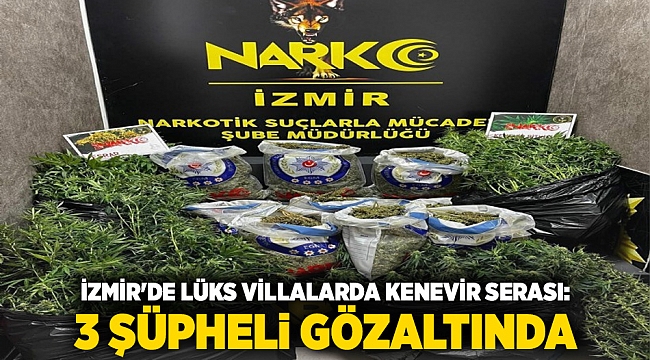 İzmir&#039;de Lüks Villalarda Kenevir Serası: 3 Şüpheli Gözaltında