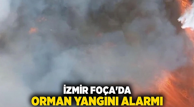 İzmir Foça&#039;da orman yangını alarmı