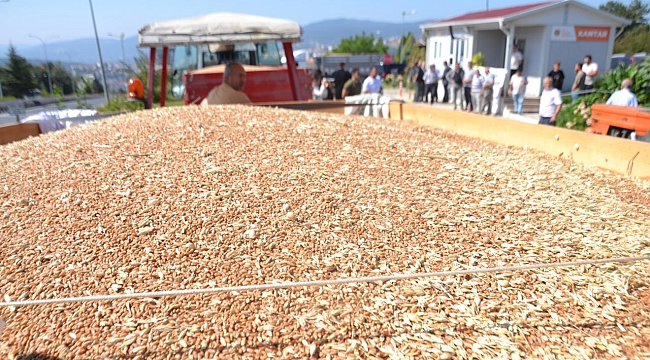 TMO, 1 milyon tonun üzerinde hububat aldı