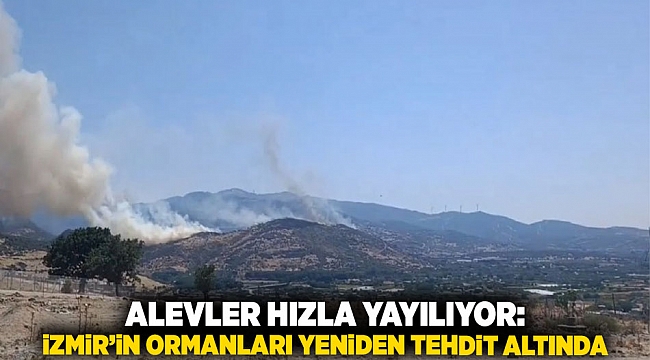 Alevler Hızla Yayılıyor: İzmir’in Ormanları Yeniden Tehdit Altında