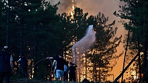 Bakan Yumaklı: 55 yangının tamamı kontrol altına alındı