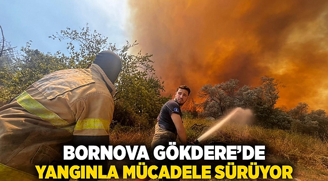 Bornova Gökdere’de yangınla mücadele sürüyor