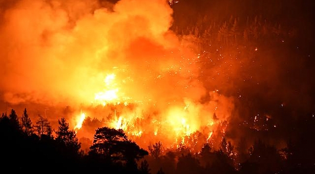 Bursa-Balıkesir sınırında orman yangını: 2 mahalle boşaltıldı