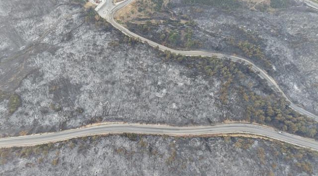 Bursa&#039;daki yangının boyutu, gün ağarınca ortaya çıktı