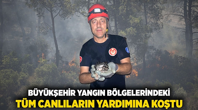 Büyükşehir yangın bölgelerindeki tüm canlıların yardımına koştu
