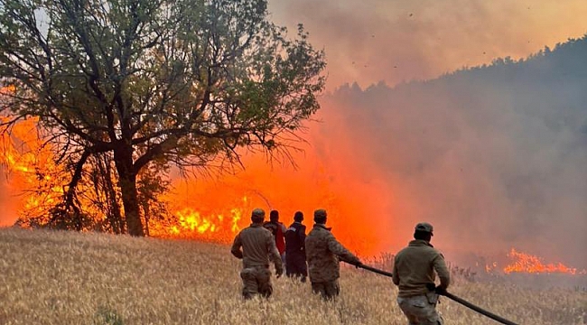 Çıkan 61 orman yangınıyla ilgili 4 şüpheli tutuklandı