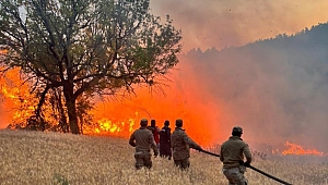 Çıkan 61 orman yangınıyla ilgili 4 şüpheli tutuklandı