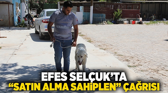 Efes Selçuk’ta “Satın Alma Sahiplen” Çağrısı