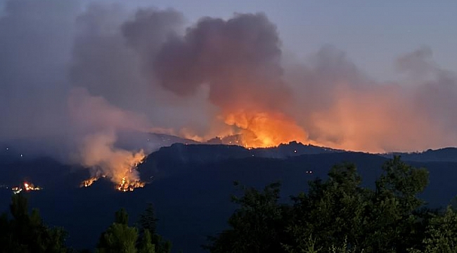 Eskişehir&#039;de yangına müdahale eden 10 orman kahramanı şehit oldu