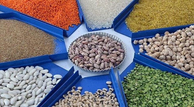 Güneydoğu&#039;nun Afrika ülkelerine hububat ihracatı yüzde 32,9 arttı