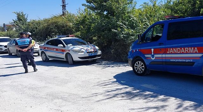 Hayvan parkından kaçan aslan etkisiz hale getirildi