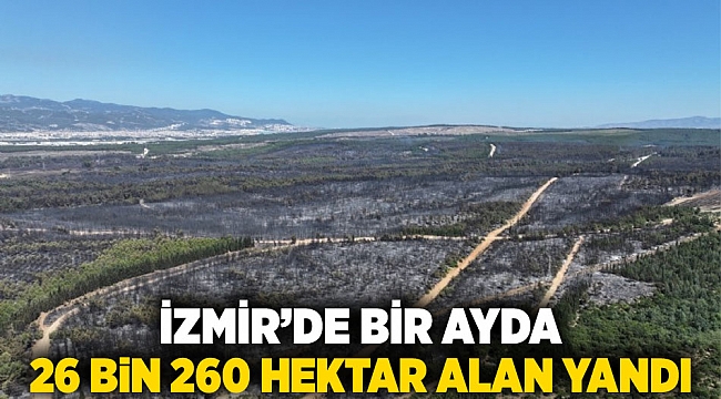 İzmir’de bir ayda 26 bin 260 hektar alan yandı