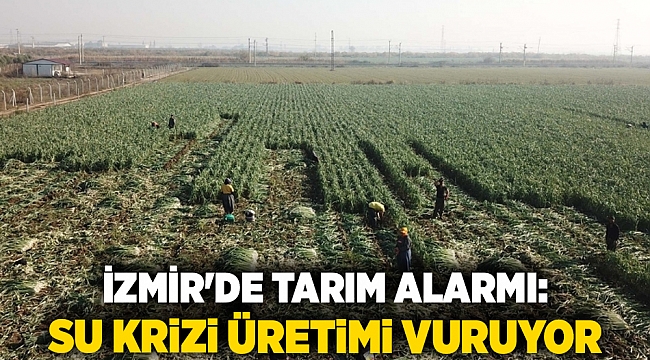 İzmir&#039;de Tarım Alarmı: Su Krizi Üretimi Vuruyor