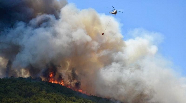 Orman yangınlarıyla oluşan 