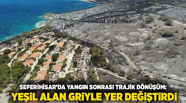 Seferihisar&#039;da Yangın Sonrası Trajik Dönüşüm: Seferihisar&#039;da Yeşil Alan Griyle Yer Değiştirdi