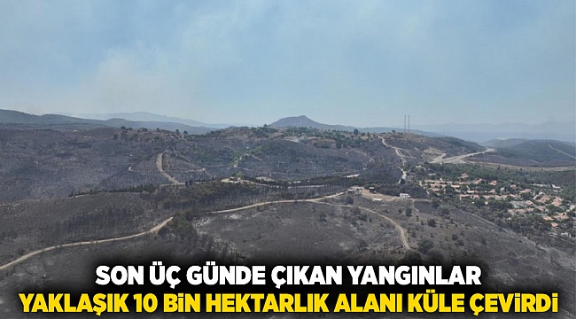 Son üç günde çıkan yangınlar yaklaşık 10 bin hektarlık alanı küle çevirdi