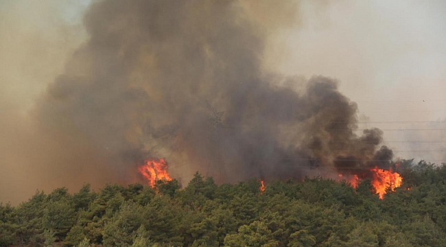 Türkiye&#039;de 5 günde 342 yangın çıktı