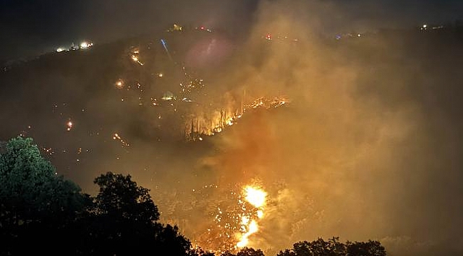 Uşak ve Manisa&#039;daki yangınlar kontrol altında