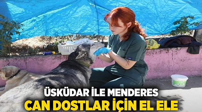 Üsküdar ile Menderes can dostlar için el ele