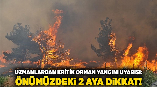 Uzmanlardan kritik orman yangını uyarısı: Önümüzdeki 2 aya dikkat!