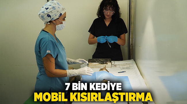 7 Bin Kediye Mobil Kısırlaştırma