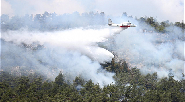 7 ildeki orman yangınları tamamen kontrol altına alındı