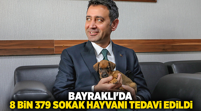 Bayraklı&#039;da 8 bin 379 sokak hayvanı tedavi edildi