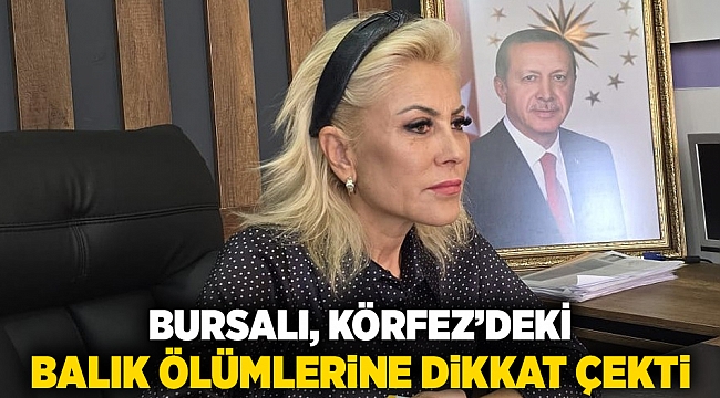 BURSALI, KÖRFEZ'DEKİ BALIK ÖLÜMLERİNE DİKKAT ÇEKTİ