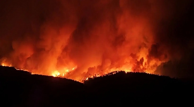Çanakkale Gelibolu'daki yangına müdahale yeniden başladı!