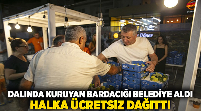 Dalında Kuruyan Bardacığı belediye aldı, halka ücretsiz dağıttı