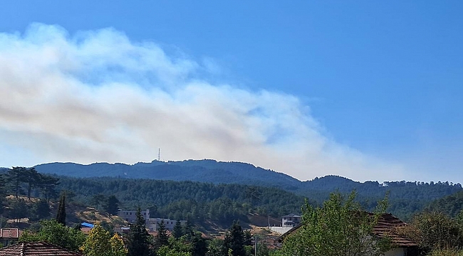 Denizli&#039;de dün çıkan orman yangını sürüyor