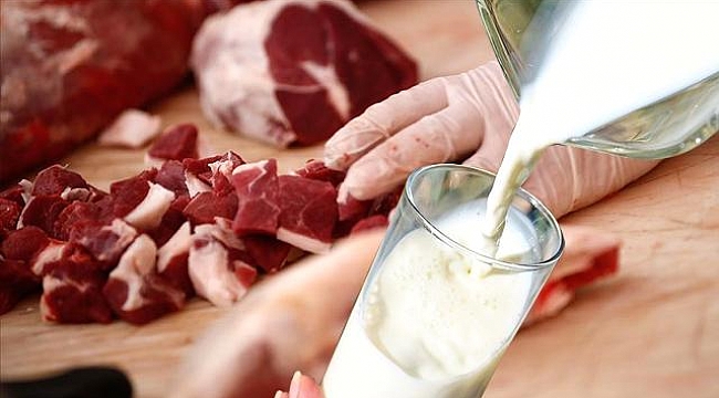 Et ve süt ürünlerine karşı alerji yapan hastalık dünyaya yayılıyor