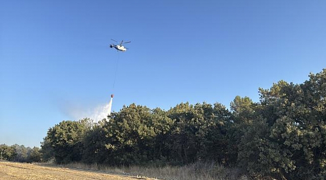 Ezine, Enez ve Şehzadeler&#039;deki yangınlar kontrol altında