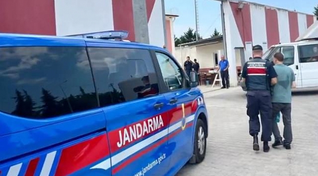 FETÖ'ye yönelik 29 ildeki operasyonlarda 49 şüpheli yakalandı