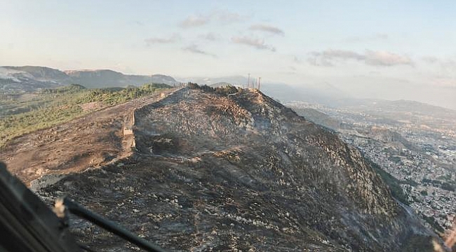 Hatay&#039;da dün çıkan orman yangını kontrol altına alındı