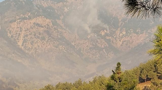 Hatay ve Mersin'de orman yangınları sürüyor