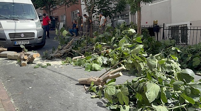 İstanbul'da fırtına: Ağaçlar devrildi, iki kişi yaralandı