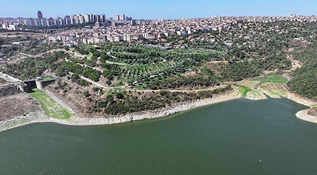 İstanbul'da son 65 yılın en kurak temmuzu yaşandı